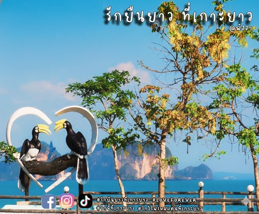ยินดีต้อนรับสู่ “เทศกาลรักยืนยาว” บนเกาะยาวแห่งตำนาน ที่ซึ่งนกเงือกคู่รักผูกพันกันตลอดชีวิต 