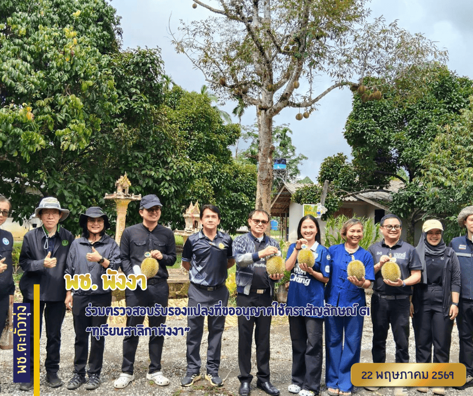 พช.พังงา ร่วมตรวจสอบรับรองแปลงที่ขออนุญาตใช้ตราสัญลักษณ์ GI “ทุเรียนสาลิกาพังงา”